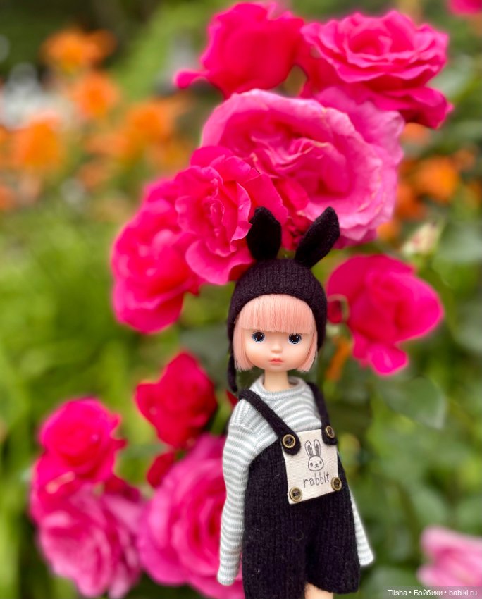 Black Rabbit (duoding doll)