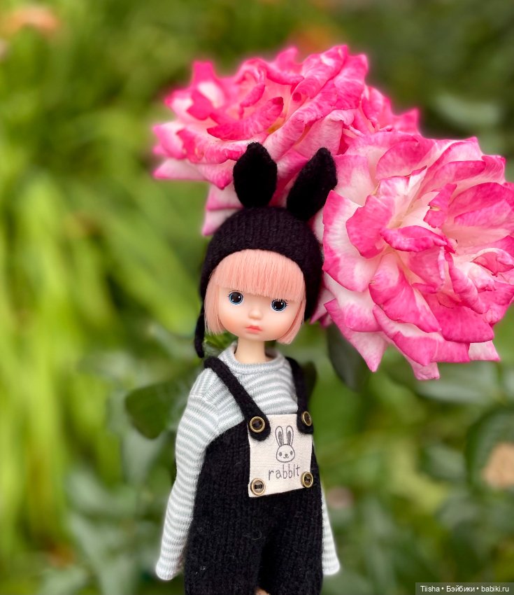 Black Rabbit (duoding doll)