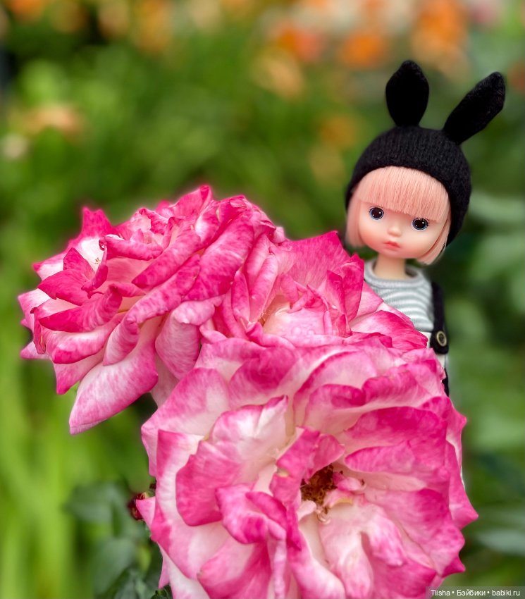 Black Rabbit (duoding doll)