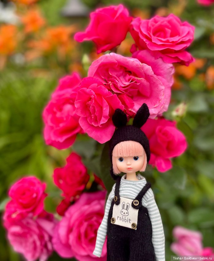 Black Rabbit (duoding doll)