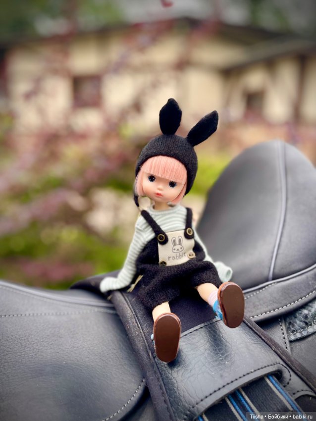 Black Rabbit (duoding doll)