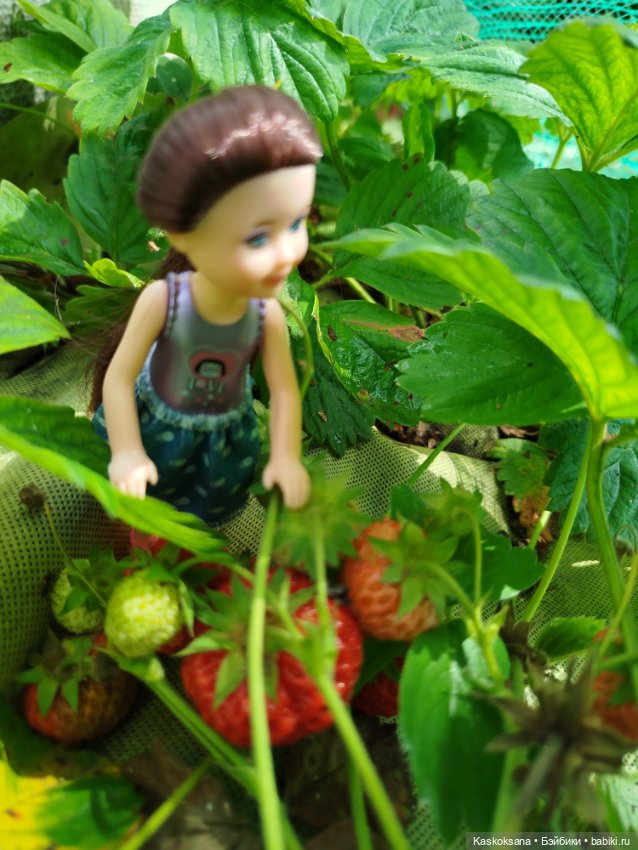 Сашка, Дашка и Наташка — Другие мини куклы