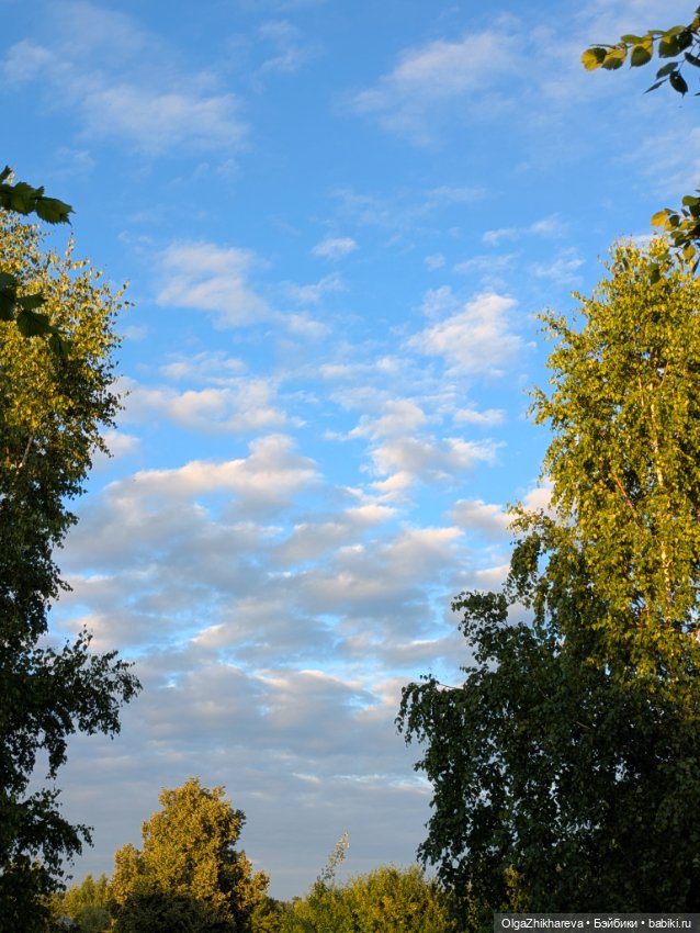 🌞Ещё один Солнечный денёк 🌷🌿🐝