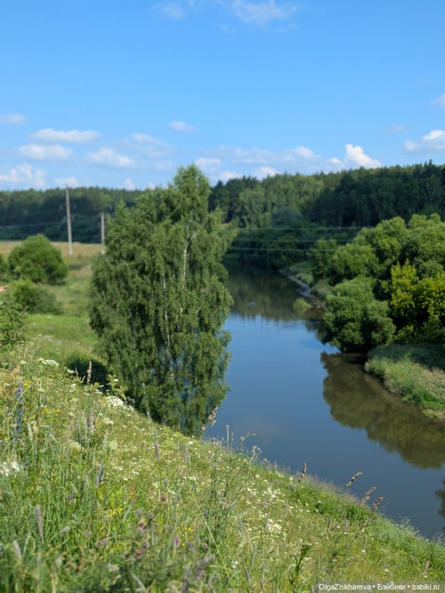 🌞Ещё один Солнечный денёк 🌷🌿🐝 (фото 3)