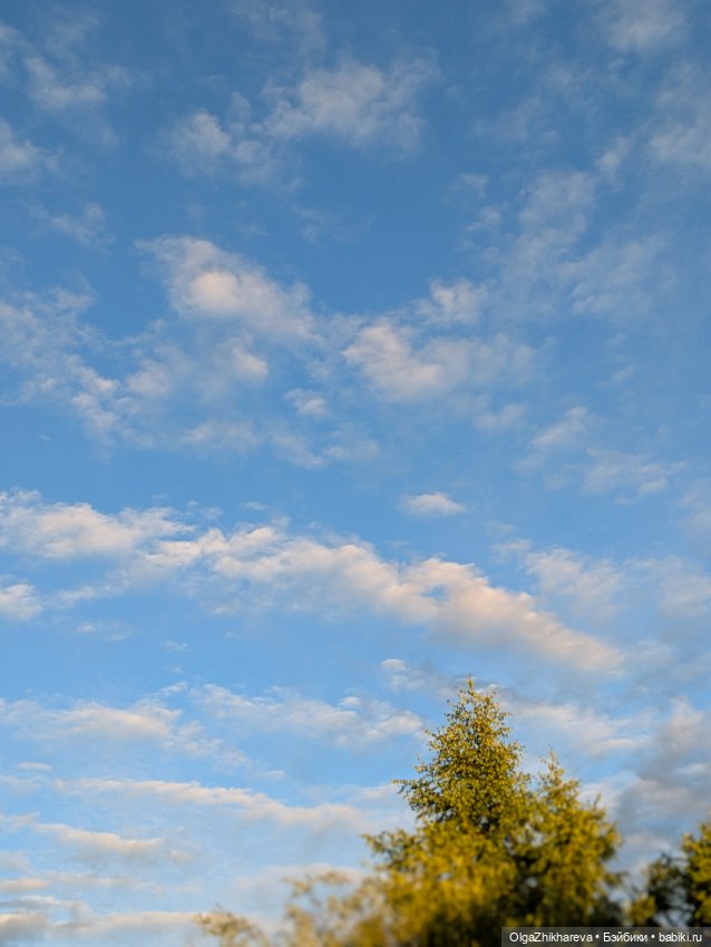 🌞Ещё один Солнечный денёк 🌷🌿🐝