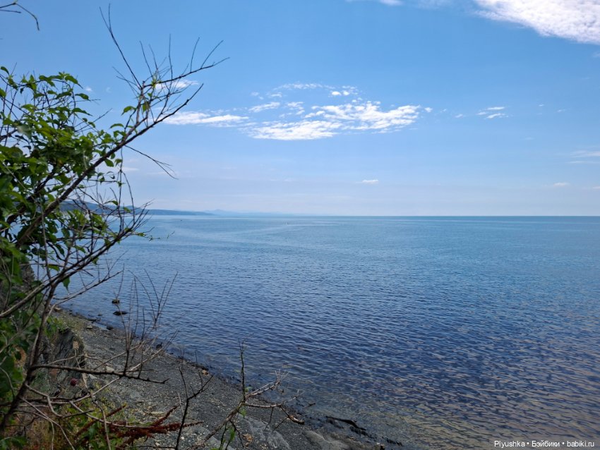Улитыч знакомится с морем (фото 2)