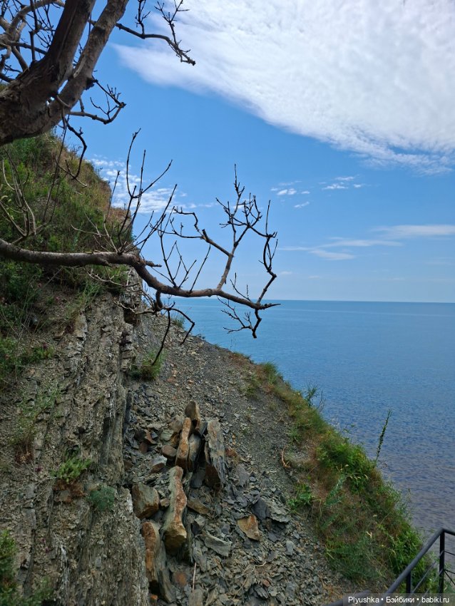 Маленькое путешествие маленькой коробочки (фото 3)