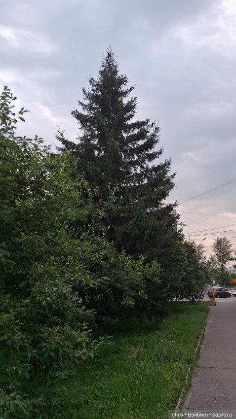 Продолжаю выгуливать Ваньку) (фото 9)