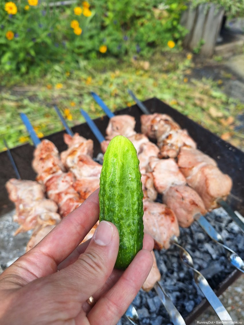 Вместе с Марго жарили шашлык 😋