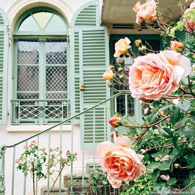 Cool Summer - яркие розовый и мятный, Pink and Mint