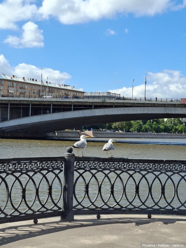 Новоспасский монастырь, Крутицкая набережная, Лили (фото 8)