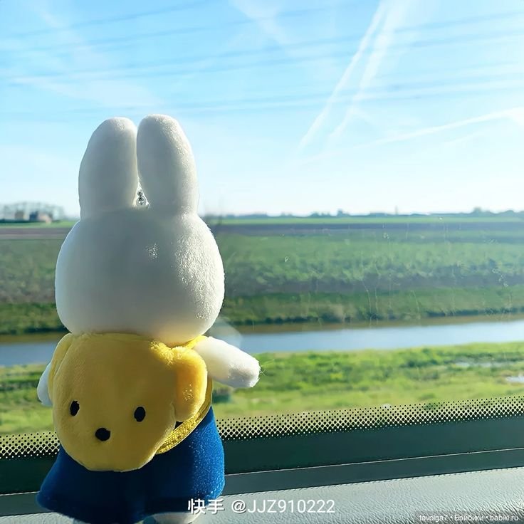 Miffy Зайка - история персонажа с 1955 года до 2020х