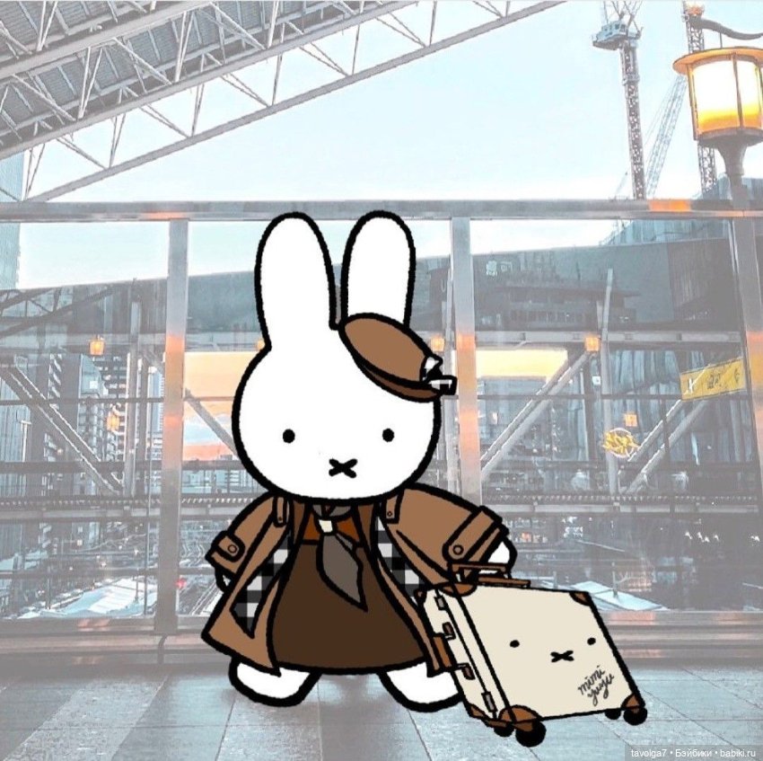 Miffy Зайка - история персонажа с 1955 года до 2020х
