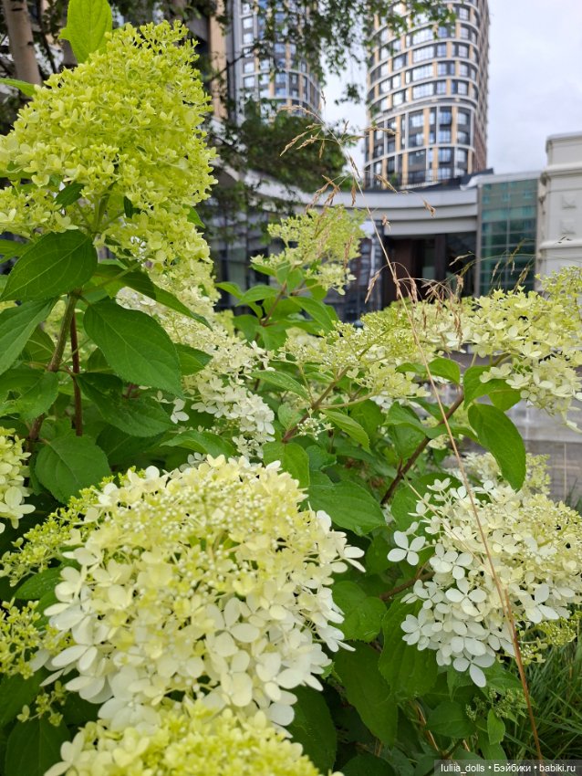 Прогулка по Екатеринбургу