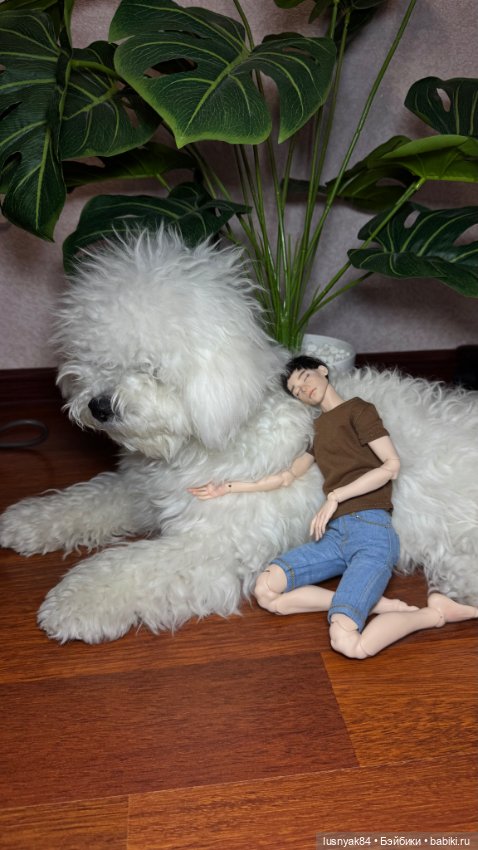 Новый житель и бжд — Авторские куклы BJD (БЖД) у нас дома: фото