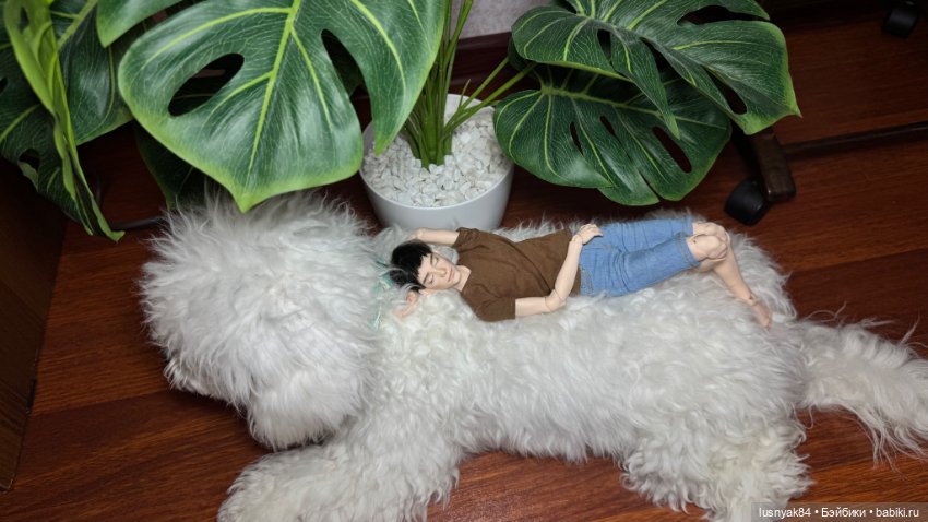Новый житель и бжд — Авторские куклы BJD (БЖД) у нас дома: фото (фото 7)