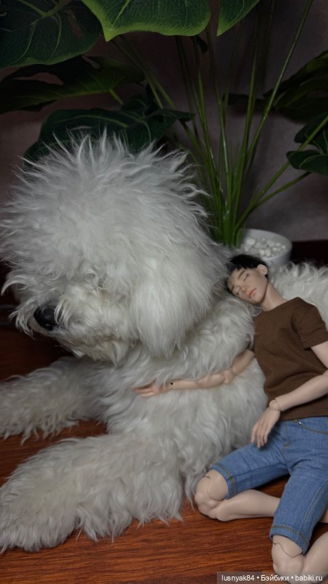 Новый житель и бжд — Авторские куклы BJD (БЖД) у нас дома: фото (фото 3)