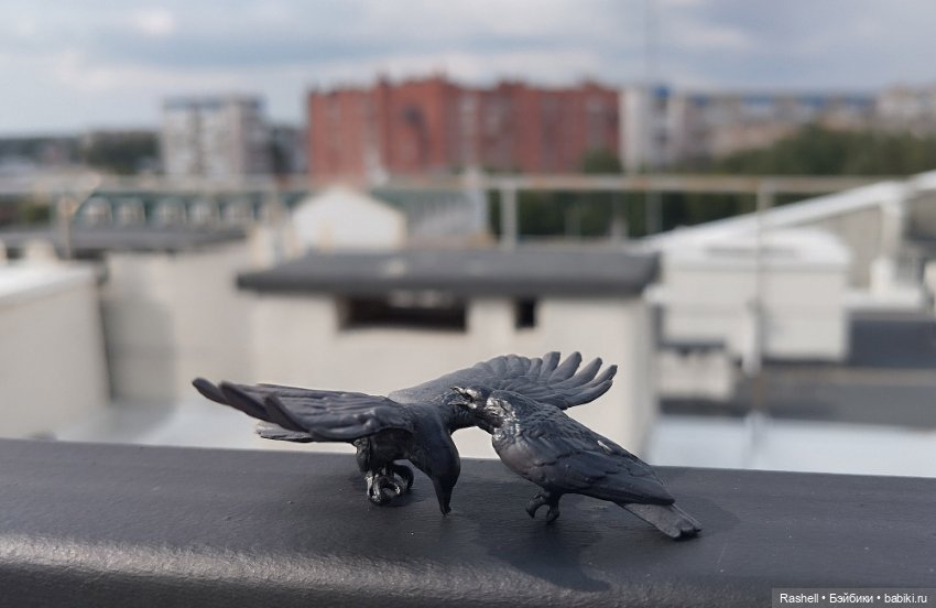 Песики и птички — Другие Blind Box и Арт