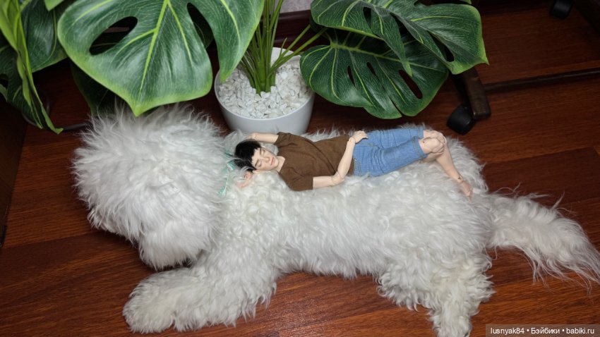 Новый житель и бжд — Авторские куклы BJD (БЖД) у нас дома: фото (фото 6)