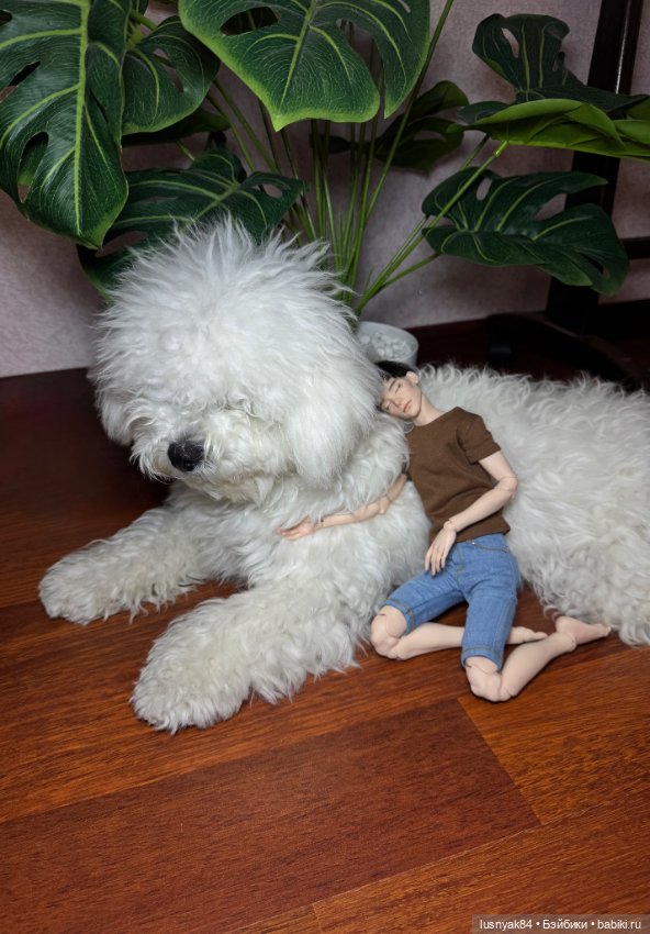 Новый житель и бжд — Авторские куклы BJD (БЖД) у нас дома: фото (фото 2)