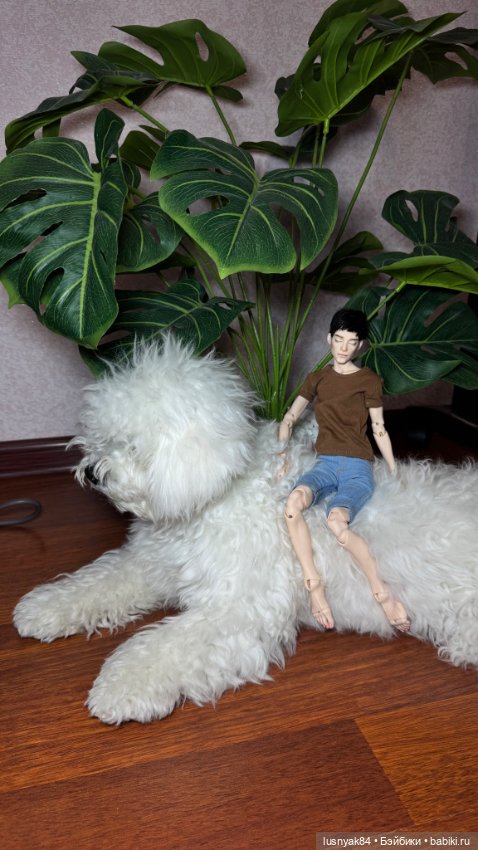 Новый житель и бжд — Авторские куклы BJD (БЖД) у нас дома: фото (фото 5)
