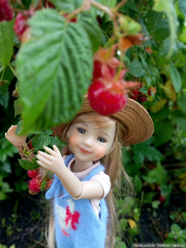 В малиновой заре — Куклы Ruby Red (Руби Ред) Fashion Friends: Siblies
