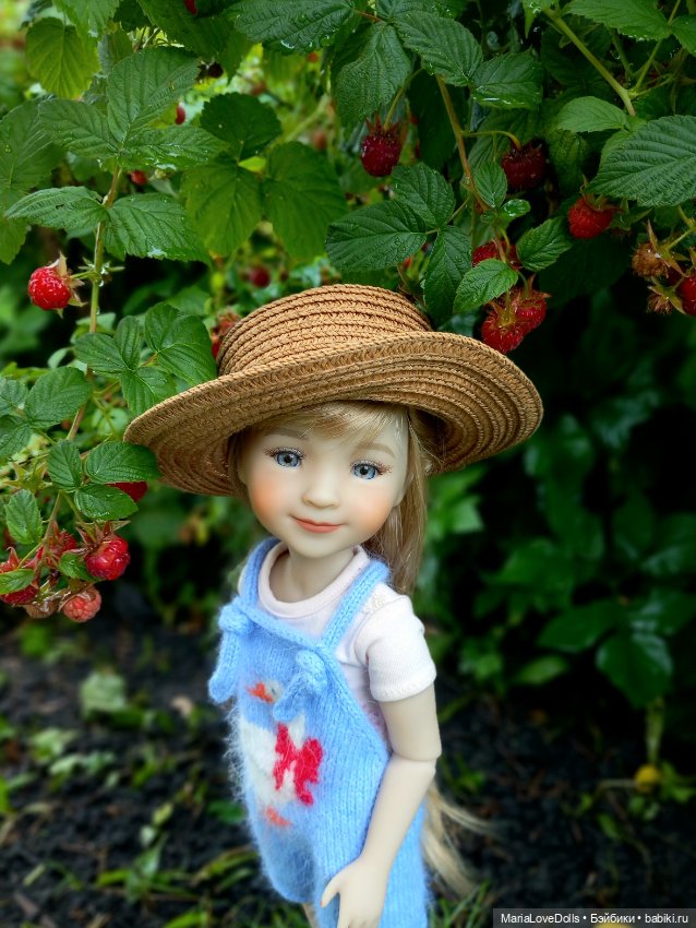 В малиновой заре — Куклы Ruby Red (Руби Ред) Fashion Friends: Siblies
