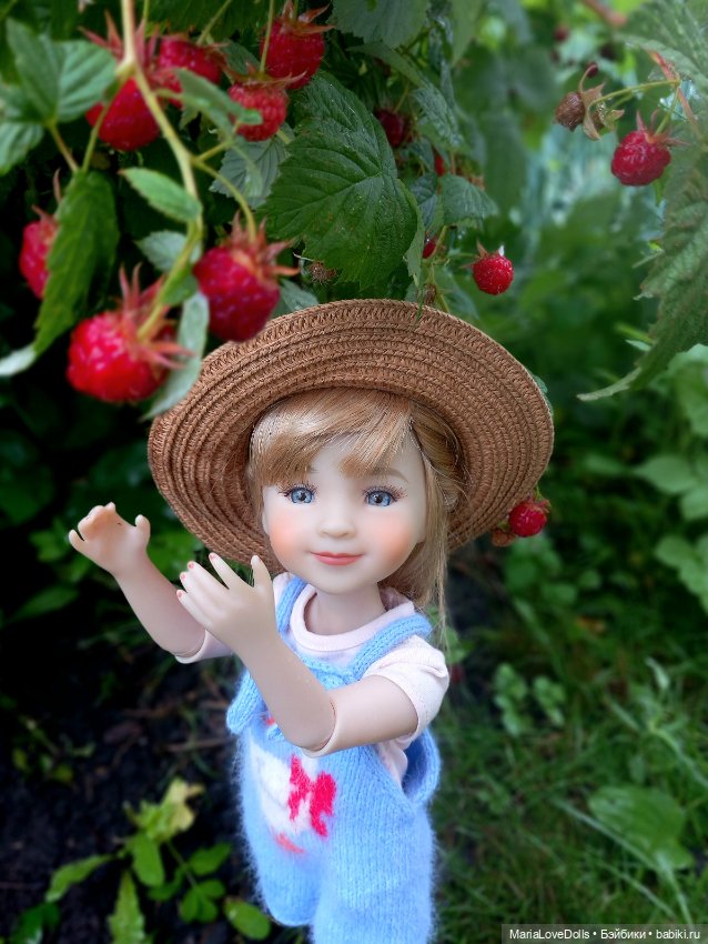 В малиновой заре — Куклы Ruby Red (Руби Ред) Fashion Friends: Siblies