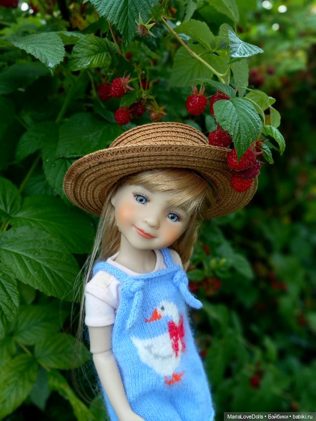 В малиновой заре — Куклы Ruby Red (Руби Ред) Fashion Friends: Siblies