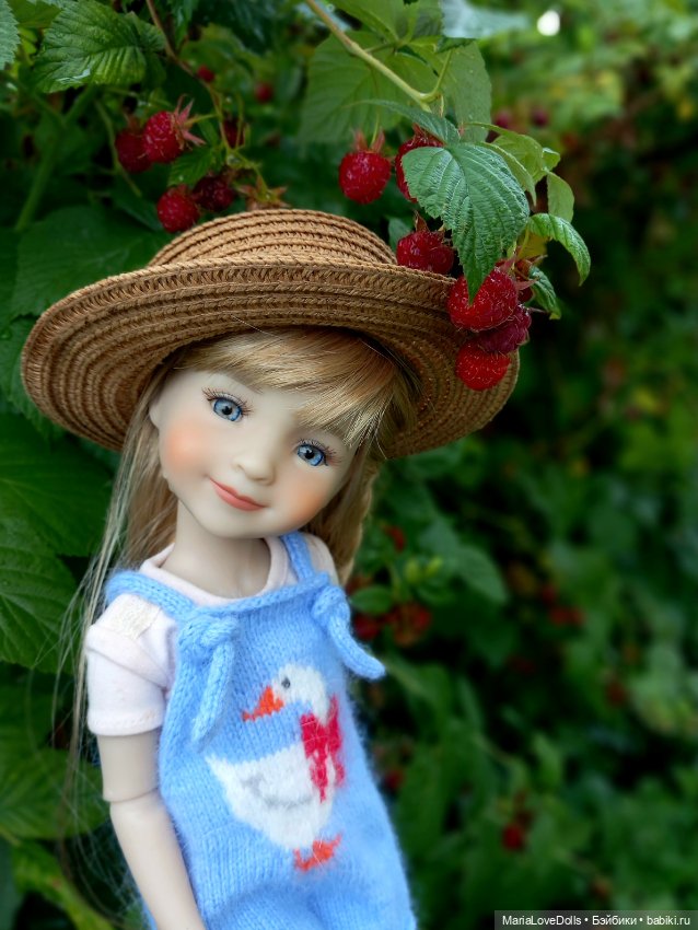 В малиновой заре — Куклы Ruby Red (Руби Ред) Fashion Friends: Siblies