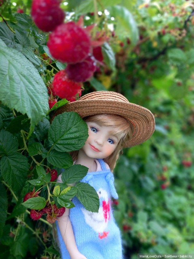 В малиновой заре — Куклы Ruby Red (Руби Ред) Fashion Friends: Siblies