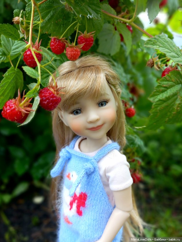 В малиновой заре — Куклы Ruby Red (Руби Ред) Fashion Friends: Siblies