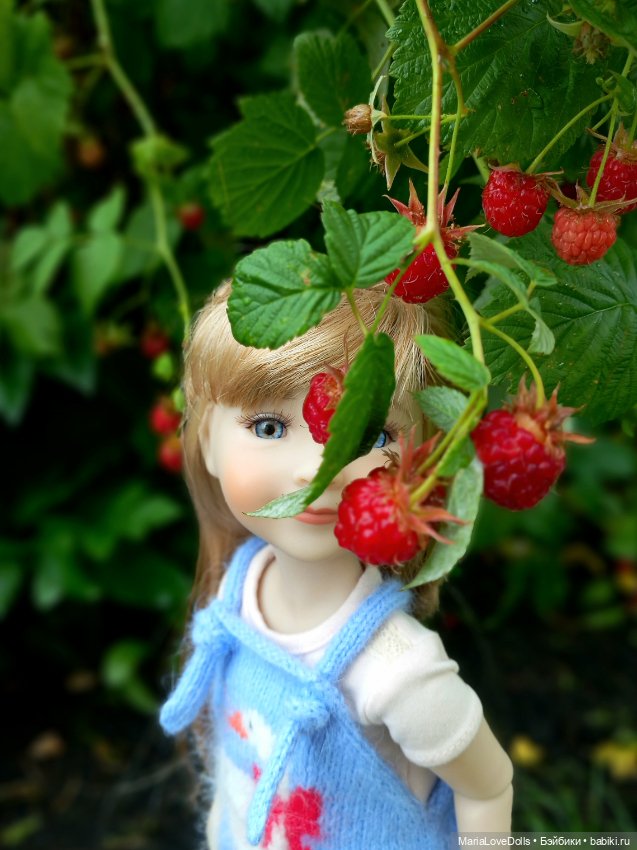 В малиновой заре — Куклы Ruby Red (Руби Ред) Fashion Friends: Siblies (фото 2)