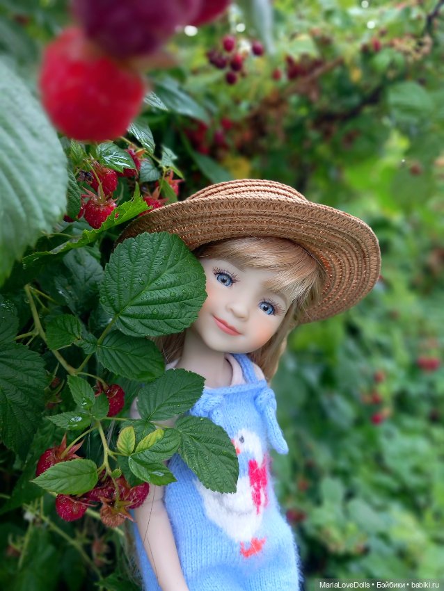 В малиновой заре — Куклы Ruby Red (Руби Ред) Fashion Friends: Siblies