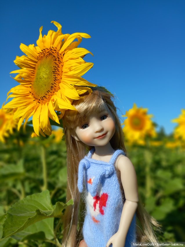 Под солнышком — Куклы Ruby Red (Руби Ред) Fashion Friends: Siblies