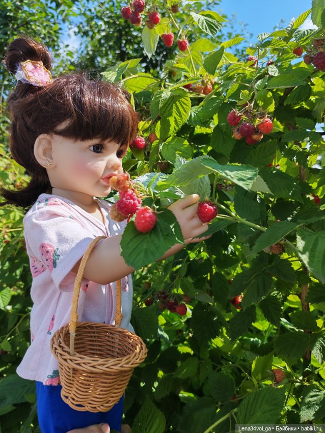 Дачные истории, рродолжение (фото 2)