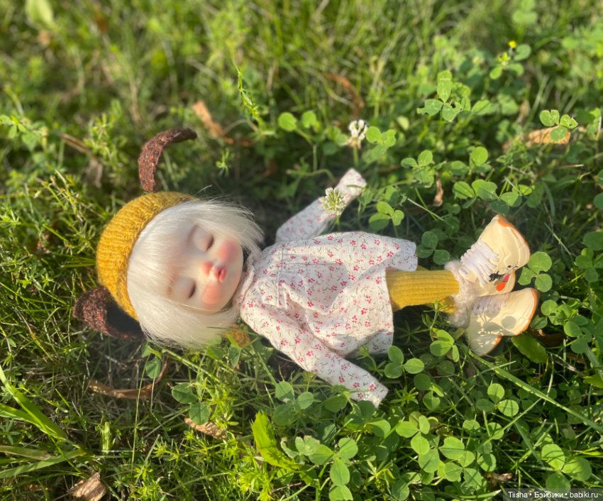 Dudu в лучах закатного солнышка