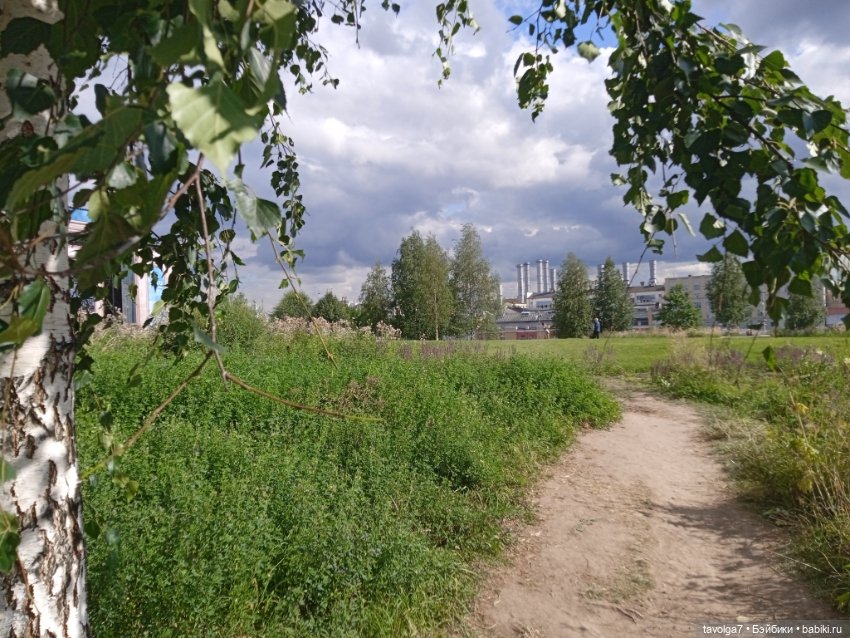 Giochi Preziosi и парк Зарядье Москва (фото 7)