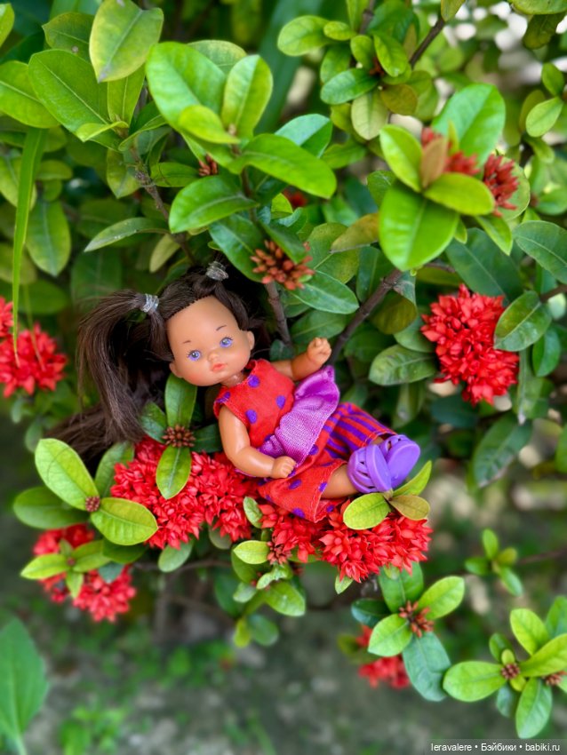 И снова плюмерия красная 🌺
