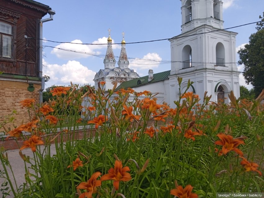 "Июльский водопой подходит к концу" (фото 5)