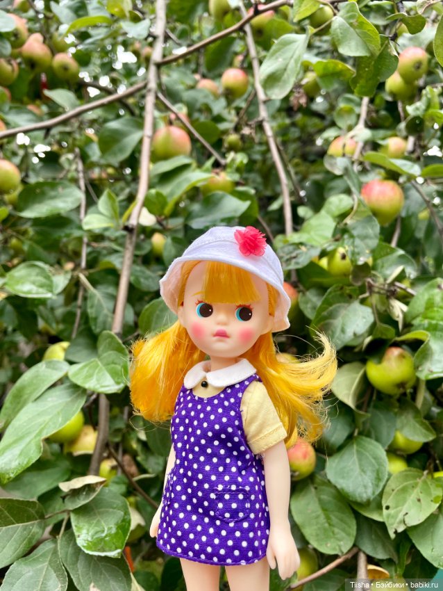 Солнышко Littleberry — Куклы Strawberry Planet: Redberry
