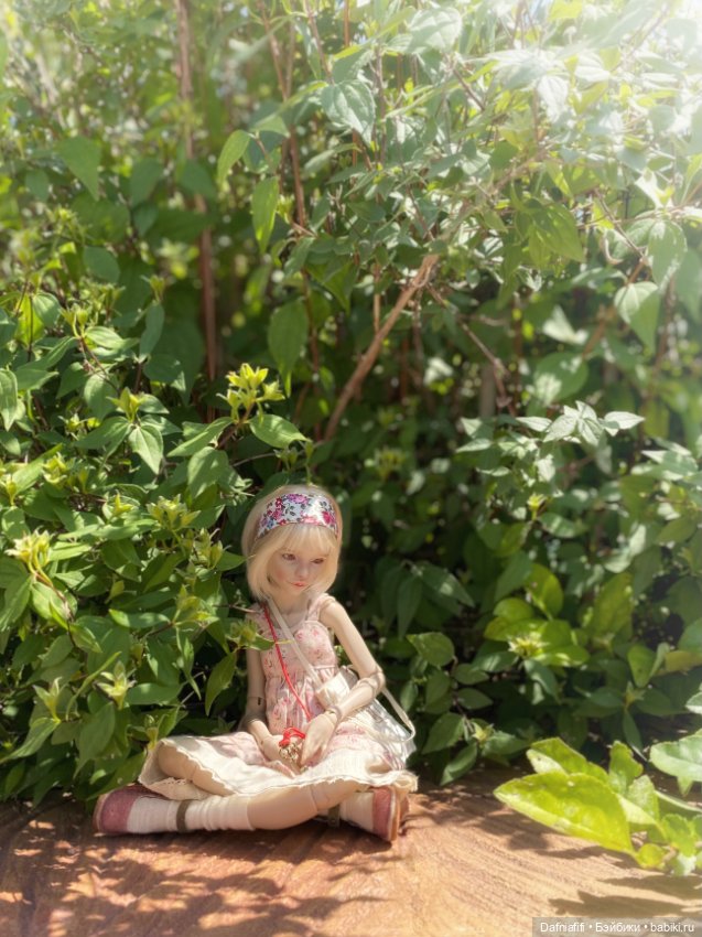 Авторские куклы BJD (БЖД) у нас дома: фото