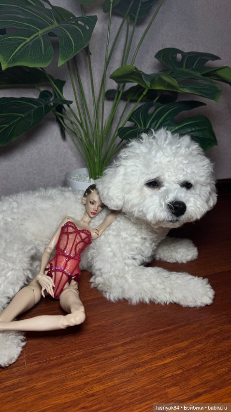 Томми и Лиса — Куклы Chimera Doll (Нина Куриленко): российские BJD (БЖД) (фото 7)