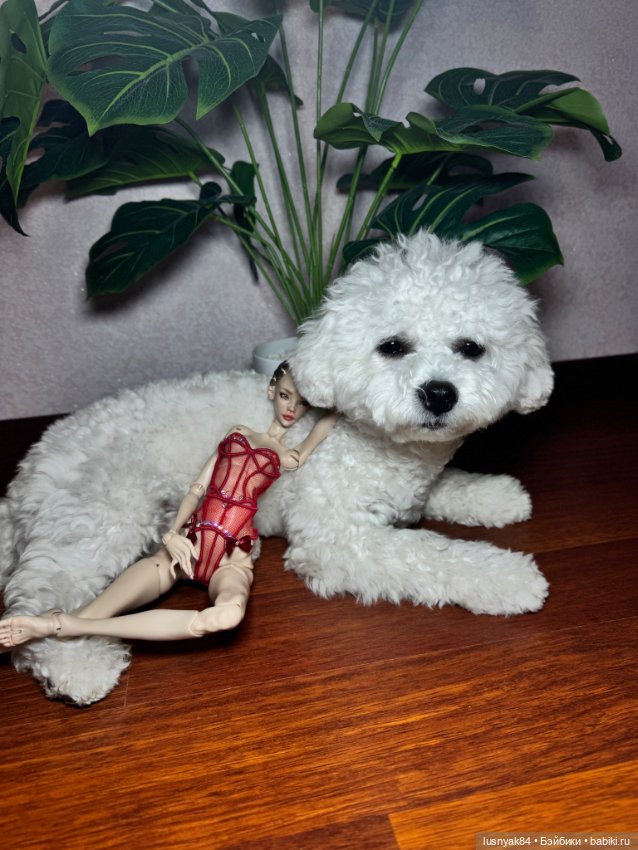 Томми и Лиса — Куклы Chimera Doll (Нина Куриленко): российские BJD (БЖД) (фото 4)