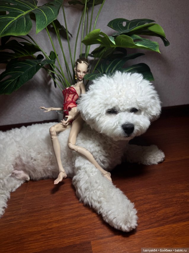 Томми и Лиса — Куклы Chimera Doll (Нина Куриленко): российские BJD (БЖД) (фото 5)