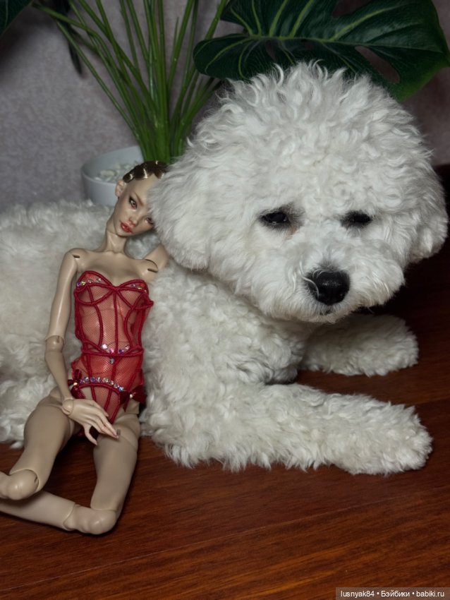 Томми и Лиса — Куклы Chimera Doll (Нина Куриленко): российские BJD (БЖД) (фото 3)