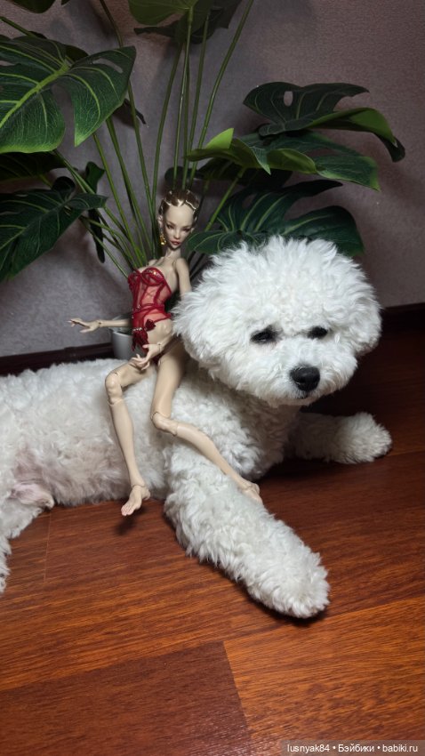 Томми и Лиса — Куклы Chimera Doll (Нина Куриленко): российские BJD (БЖД) (фото 6)
