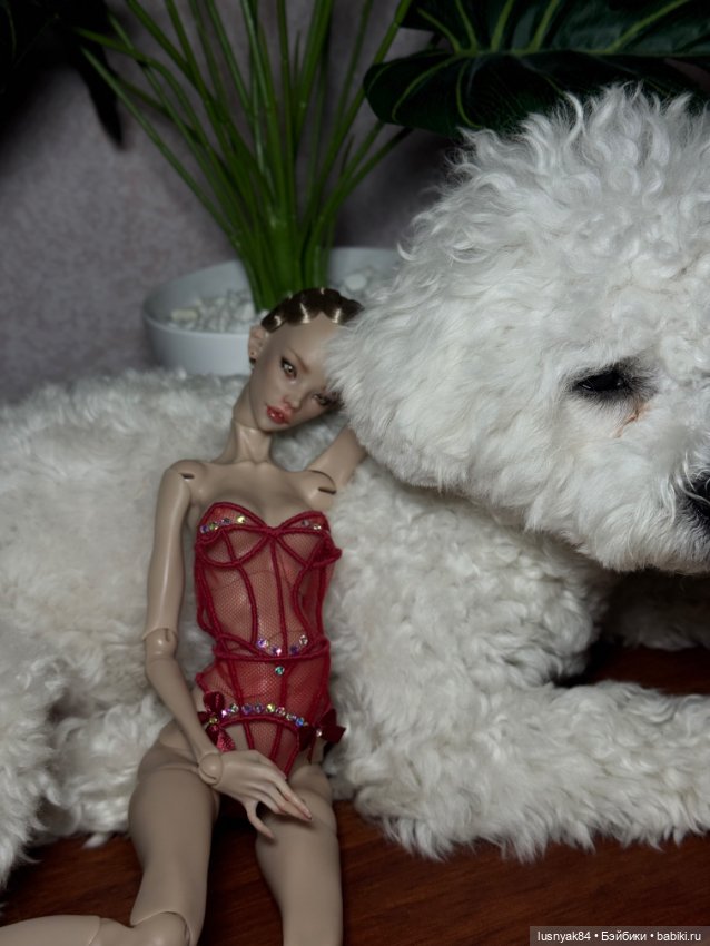 Томми и Лиса — Куклы Chimera Doll (Нина Куриленко): российские BJD (БЖД) (фото 2)