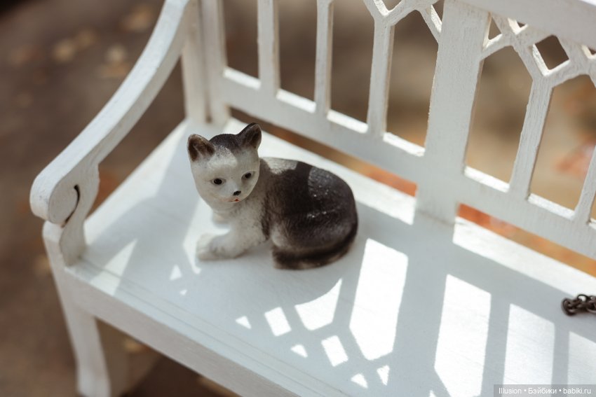 Котовья фотосессия (Мария Пикунова Моана) часть 1