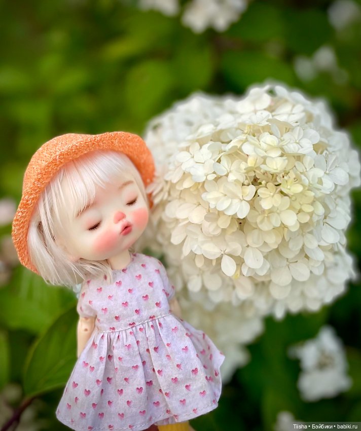 Сплюшка Dudu — Разные куклы BJD (БЖД): редкие бренды